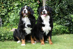 Evi & Laroze