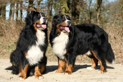 Karim & Dante van 't Maroyke