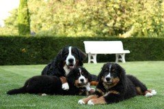 Team Rijkenspark
