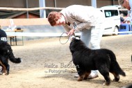 Hundeausstellung