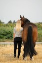 'love my horse'