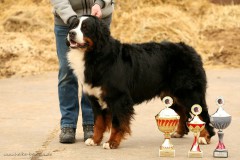 The Winner!
