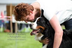 'love my dog'
