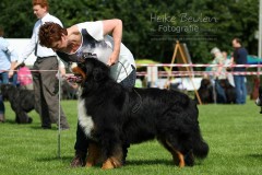Hundeausstellung
