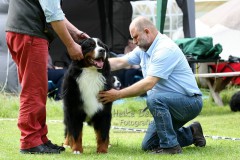 Hundeausstellung