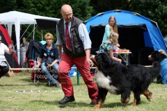 Hundeausstellung