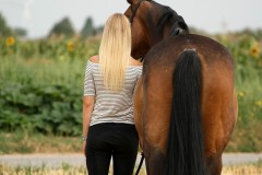 'love my horse'