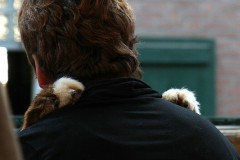 'my dog loves me'