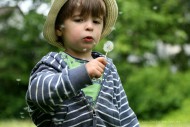 kleiner Junge mit Pusteblume