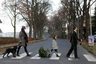 'The Beatles'