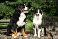 Leni & Shila