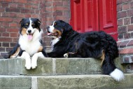 Shila & Leni