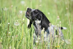 Benthe