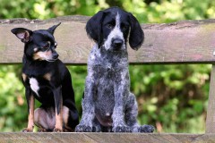 Zoe & Benthe