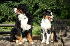 Leni & Shila